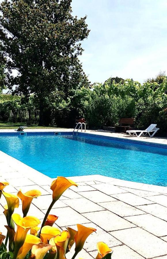 Quinta De Maderne Villa Felgueiras Dış mekan fotoğraf