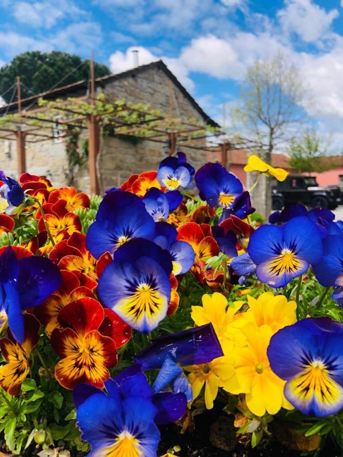 Quinta De Maderne Villa Felgueiras Dış mekan fotoğraf