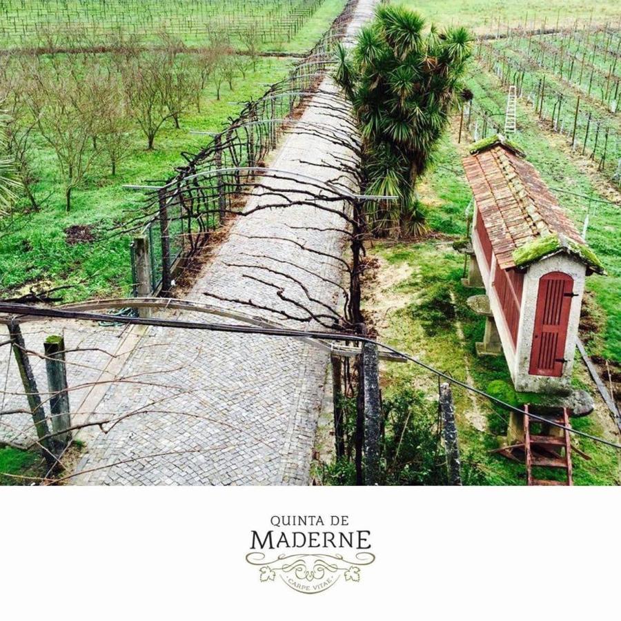 Quinta De Maderne Villa Felgueiras Dış mekan fotoğraf
