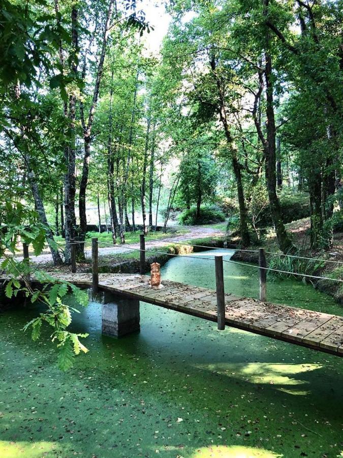 Quinta De Maderne Villa Felgueiras Dış mekan fotoğraf