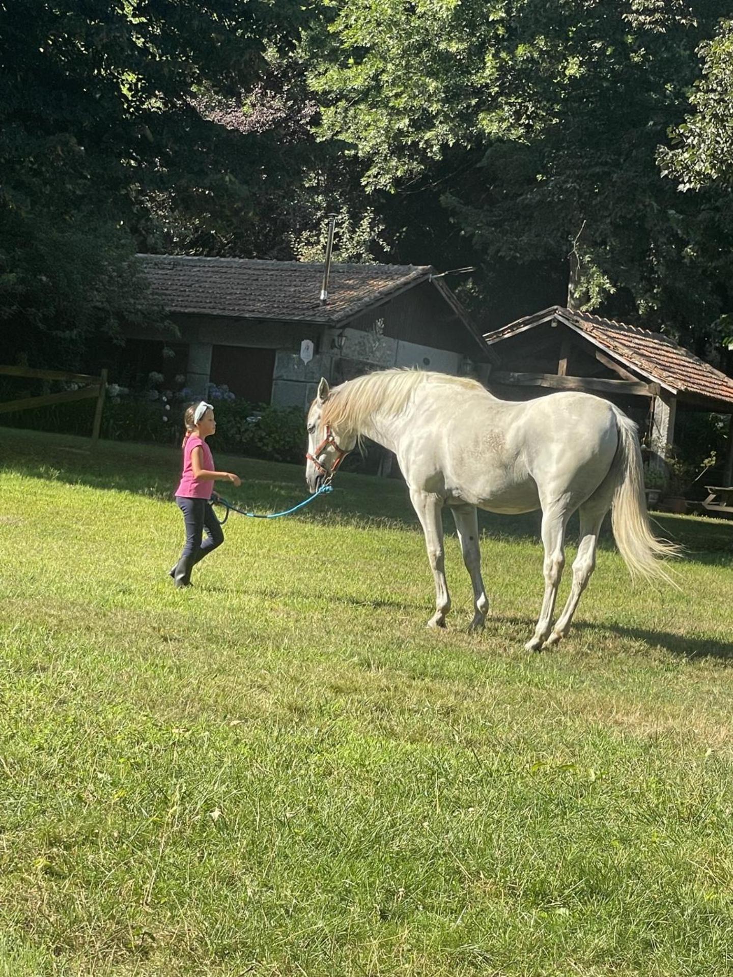 Quinta De Maderne Villa Felgueiras Dış mekan fotoğraf