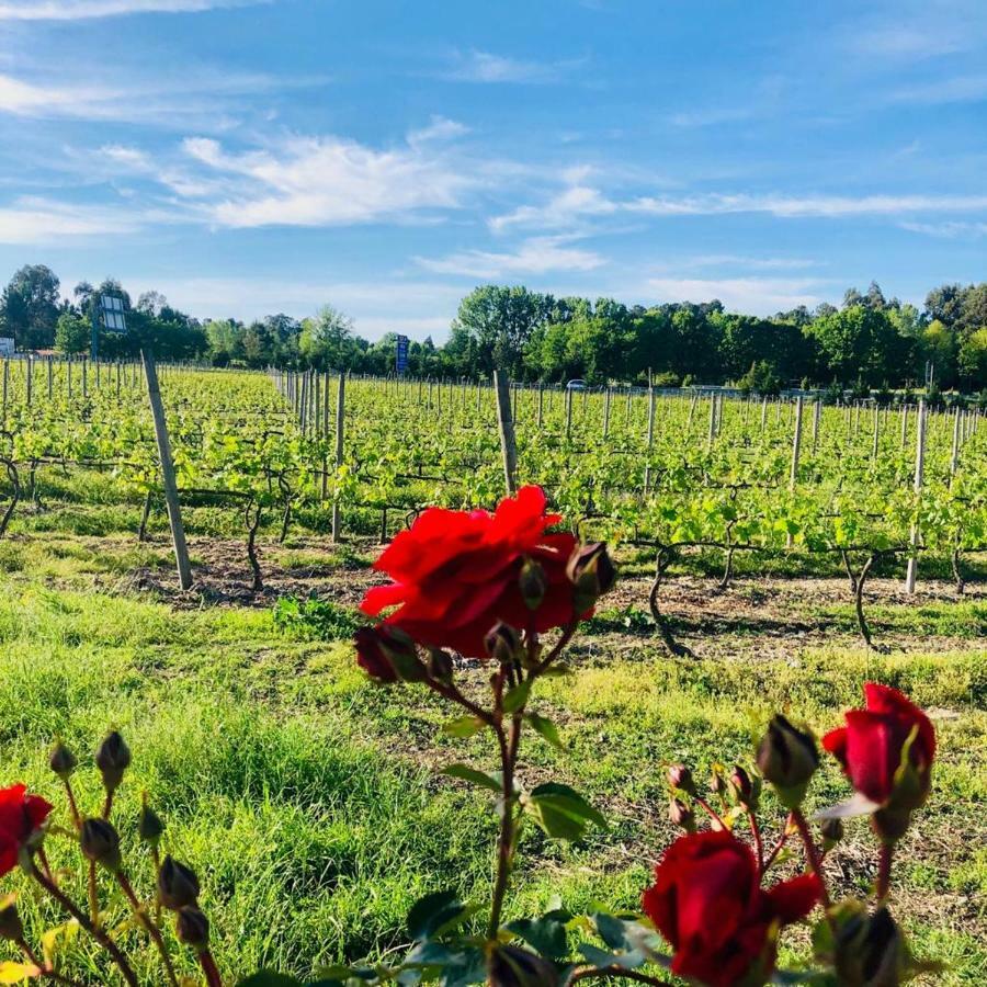 Quinta De Maderne Villa Felgueiras Dış mekan fotoğraf